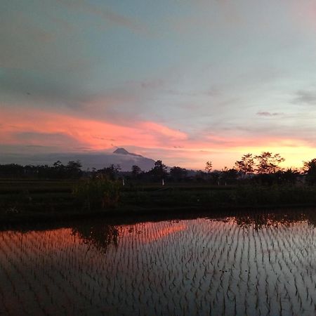 Rumah Ukhi Guest House Cebongan エクステリア 写真