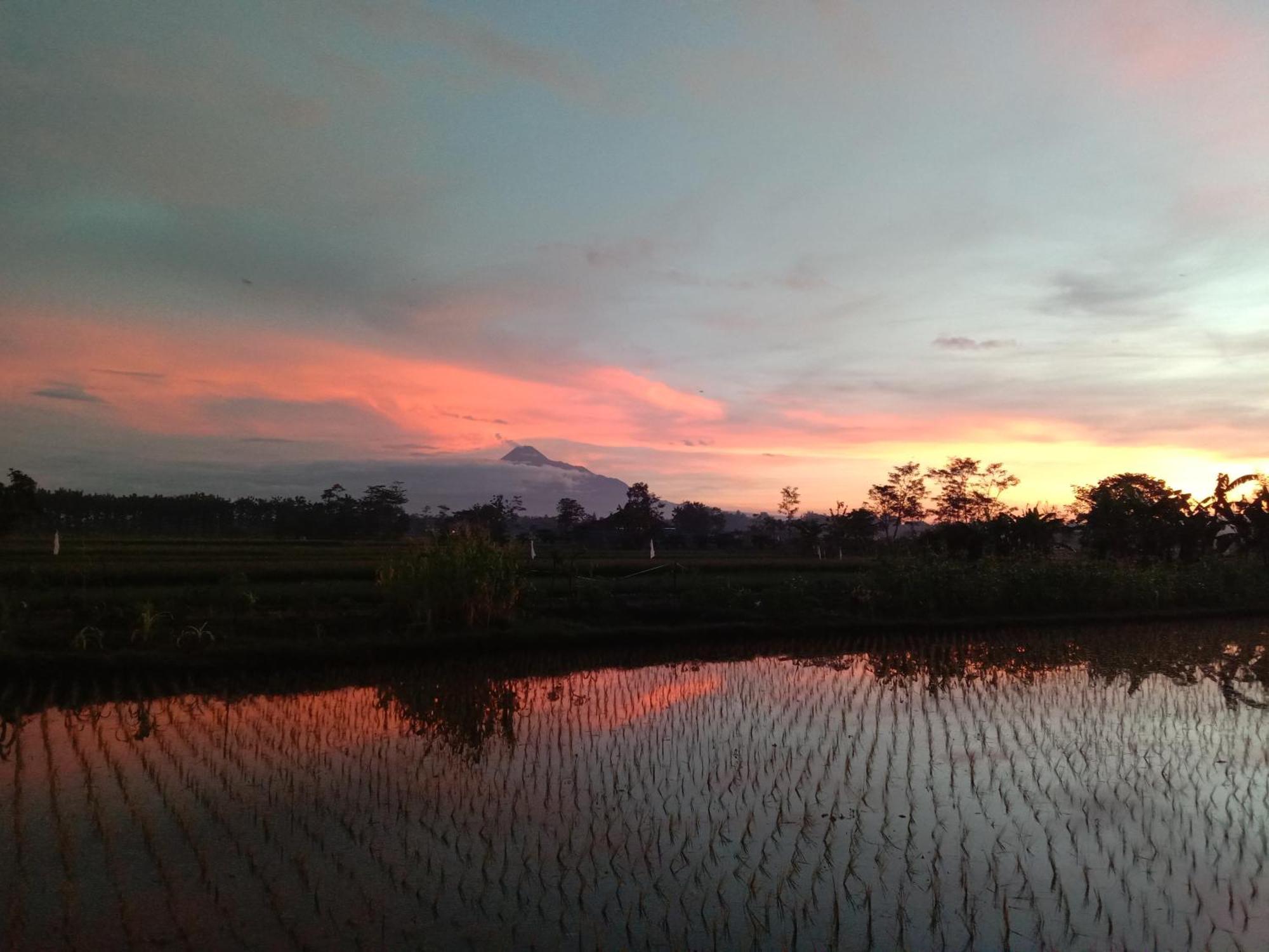 Rumah Ukhi Guest House Cebongan エクステリア 写真