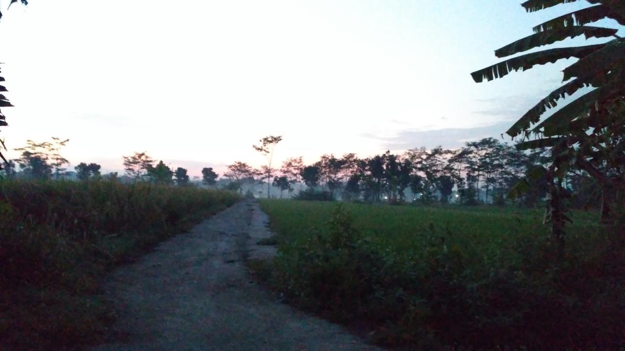 Rumah Ukhi Guest House Cebongan エクステリア 写真